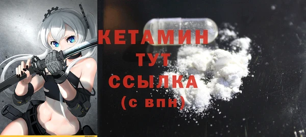 гидра Надым