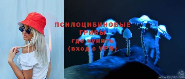 гидра Надым
