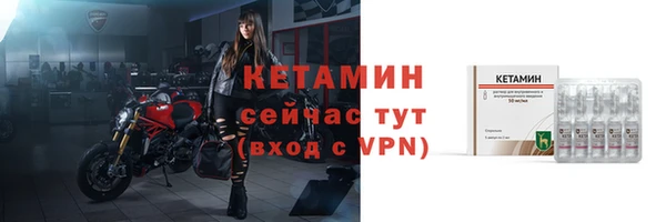 гидра Надым
