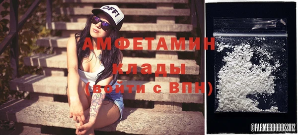 гидра Надым